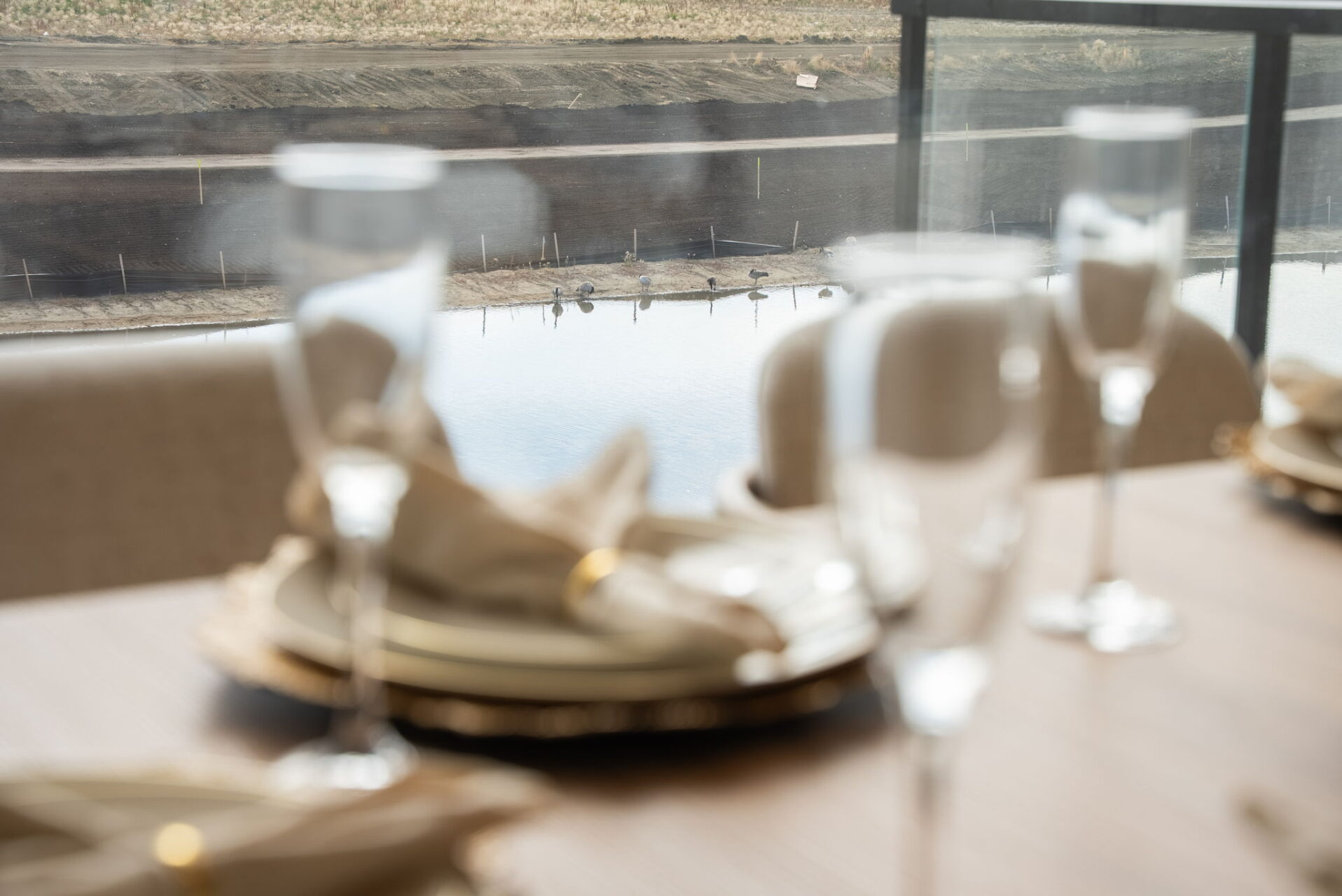 81-web-or-mls-DSC04635